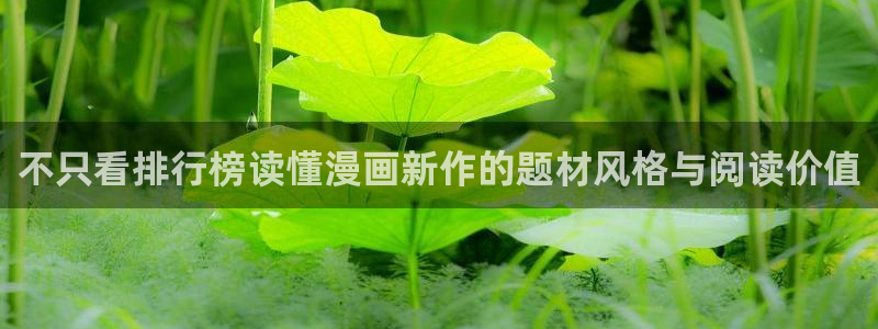 梦漫漫画漫画专区：不只看排行榜读懂漫画新作的题材风格与阅读价值