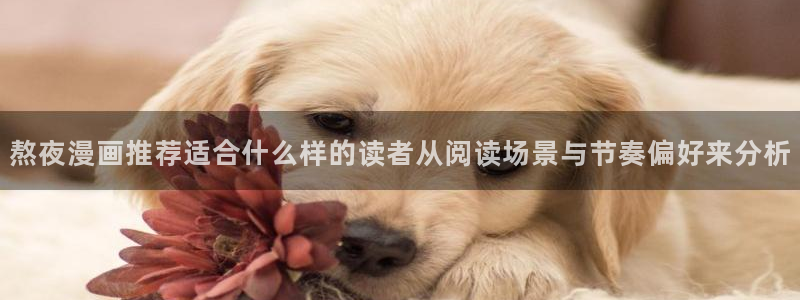 梦漫漫画APP指南：熬夜漫画推荐适合什么样的读者从阅读场景与节奏偏好来分析