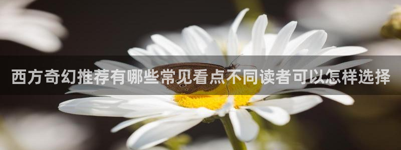 梦漫漫画章节更新:西方奇幻推荐有哪些常见看点不同读者可以怎样选择