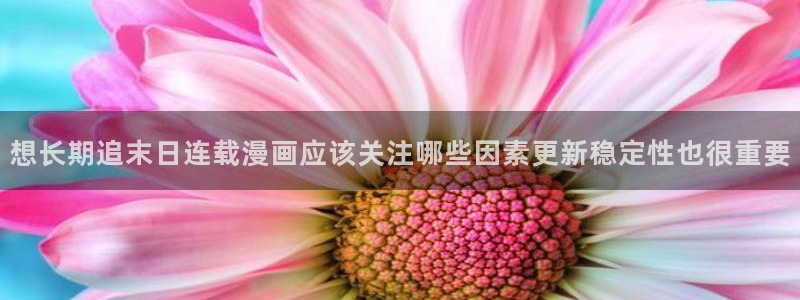 梦漫漫画APP排行榜：想长期追末日连载漫画应该关注哪些因素更新稳定性也很重要