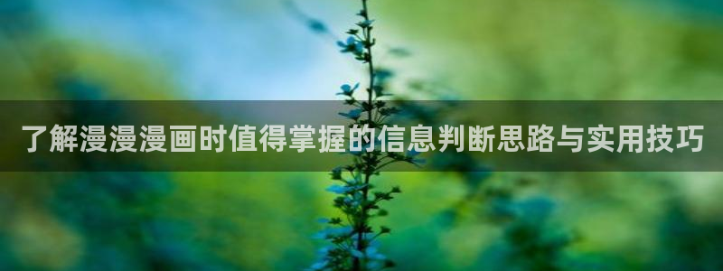 梦漫漫画动作漫画:了解漫漫漫画时值得掌握的信息判断思路与实用技巧